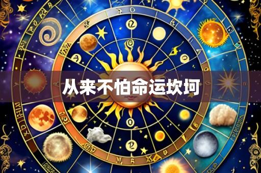 从来不怕命运坎坷