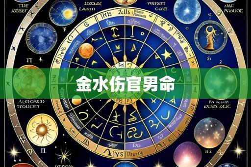 金水伤官男命