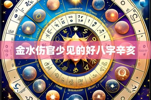 金水伤官少见的好八字辛亥