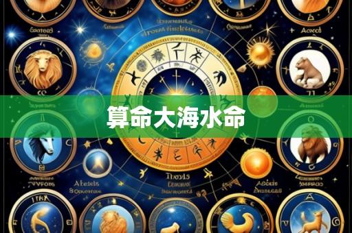算命大海水命