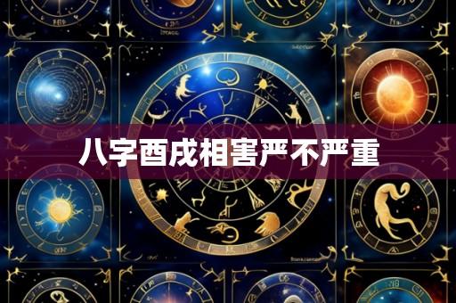 八字酉戌相害严不严重