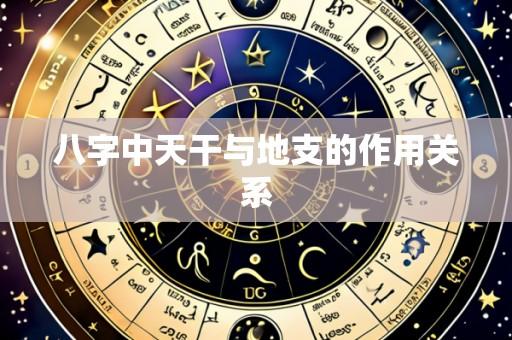 八字中天干与地支的作用关系