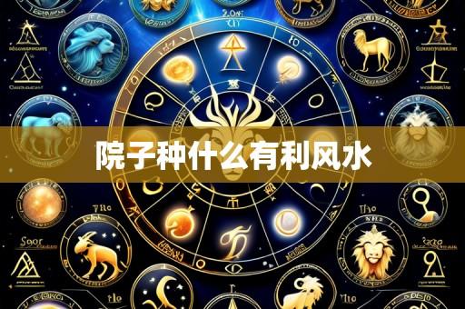 院子种什么有利风水