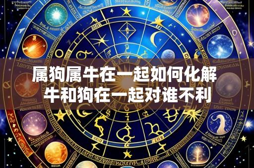 属狗属牛在一起如何化解 牛和狗在一起对谁不利