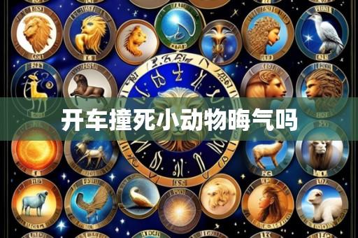 开车撞死小动物晦气吗
