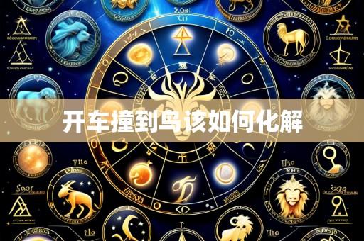 开车撞到鸟该如何化解