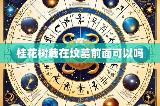 桂花树栽在坟墓前面可以吗