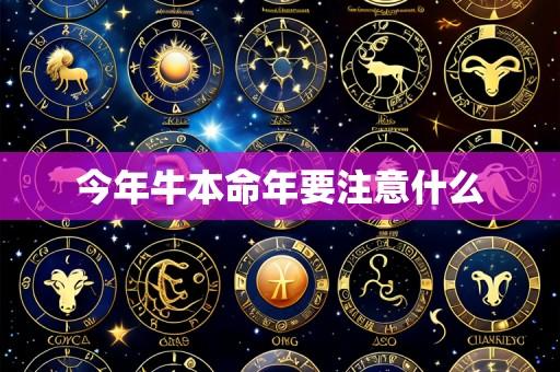 今年牛本命年要注意什么