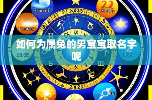 如何为属兔的男宝宝取名字呢