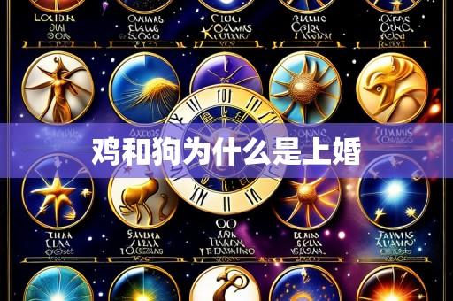 鸡和狗为什么是上婚