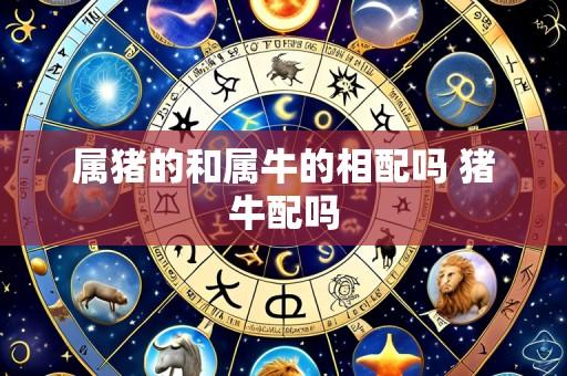 属猪的和属牛的相配吗 猪牛配吗
