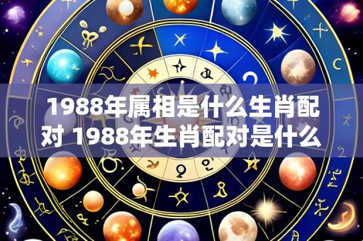 1988年属相是什么生肖配对 1988年生肖配对是什么