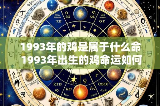 1993年的鸡是属于什么命 1993年出生的鸡命运如何