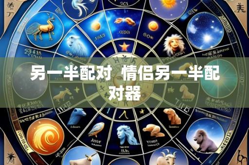 另一半配对  情侣另一半配对器