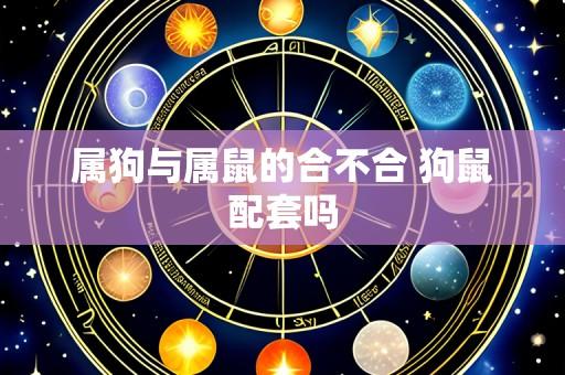 属狗与属鼠的合不合 狗鼠配套吗
