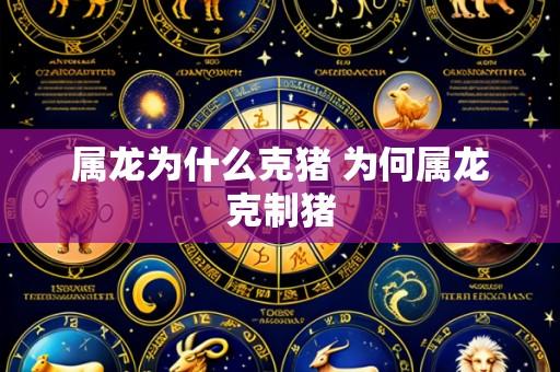 属龙为什么克猪 为何属龙克制猪