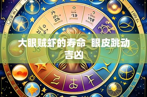 大眼贼虾的寿命  眼皮跳动吉凶