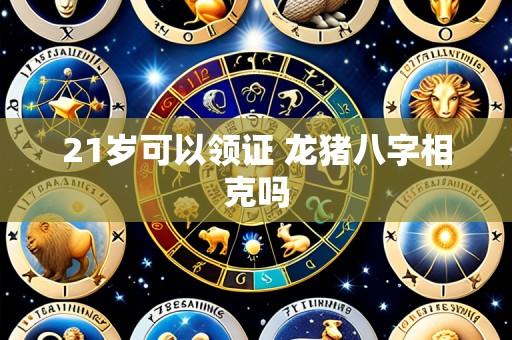 21岁可以领证 龙猪八字相克吗