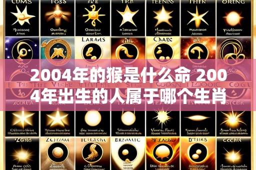 2004年的猴是什么命 2004年出生的人属于哪个生肖