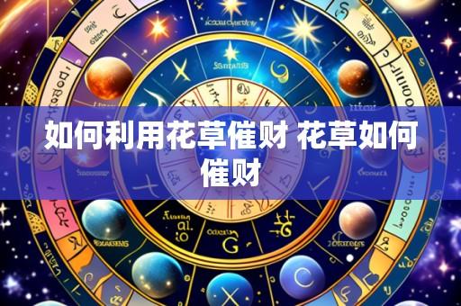 如何利用花草催财 花草如何催财