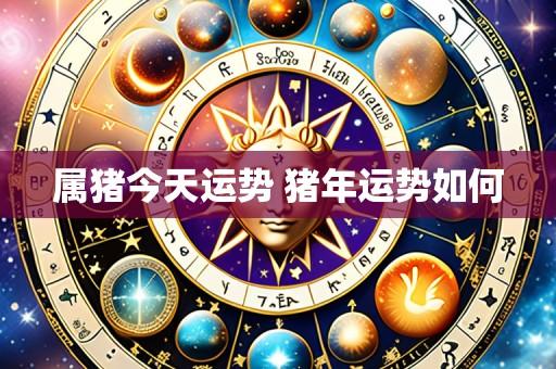 属猪今天运势 猪年运势如何