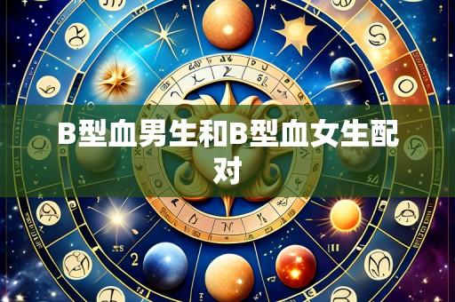 B型血男生和B型血女生配对