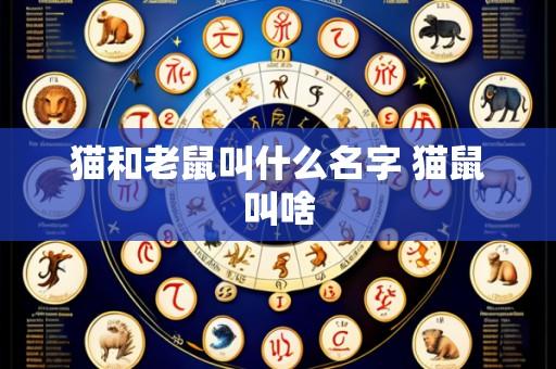 猫和老鼠叫什么名字 猫鼠叫啥