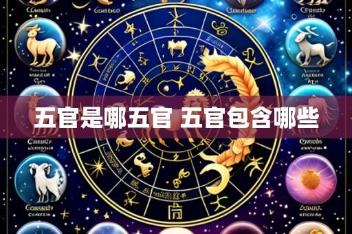 五官是哪五官 五官包含哪些
