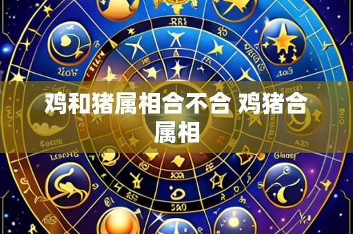 鸡和猪属相合不合 鸡猪合属相
