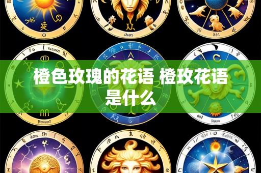 橙色玫瑰的花语 橙玫花语是什么