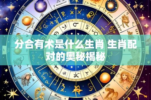 分合有术是什么生肖 生肖配对的奥秘揭秘