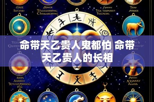 命带天乙贵人鬼都怕 命带天乙贵人的长相