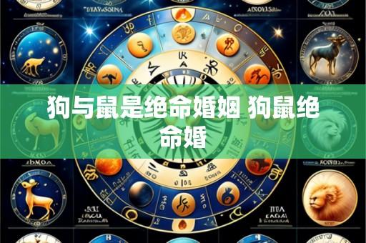 狗与鼠是绝命婚姻 狗鼠绝命婚