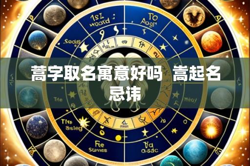 蒿字取名寓意好吗  嵩起名忌讳