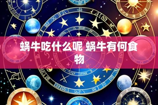 蜗牛吃什么呢 蜗牛有何食物