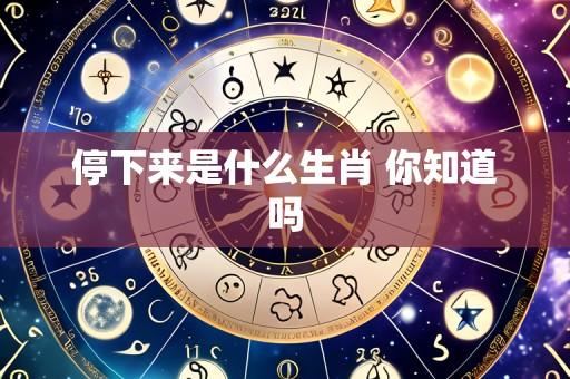 停下来是什么生肖 你知道吗