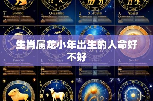 生肖属龙小年出生的人命好不好