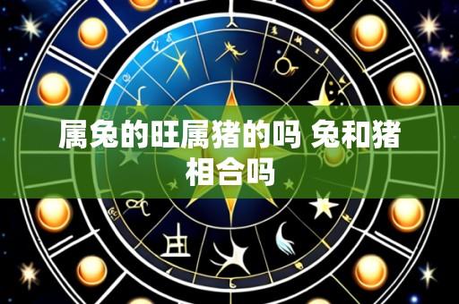 属兔的旺属猪的吗 兔和猪相合吗
