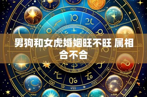 男狗和女虎婚姻旺不旺 属相合不合