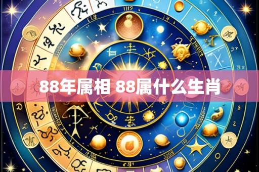 88年属相 88属什么生肖