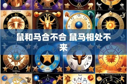 鼠和马合不合 鼠马相处不来