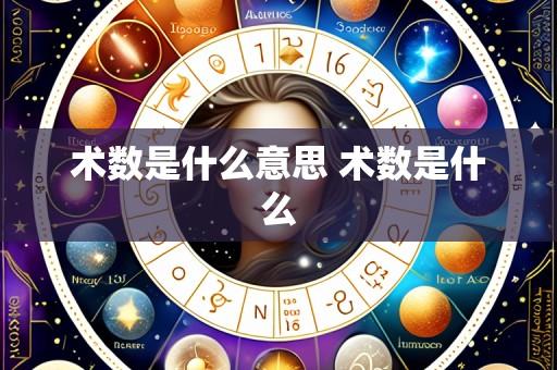 术数是什么意思 术数是什么