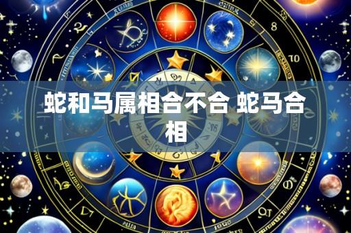 蛇和马属相合不合 蛇马合相