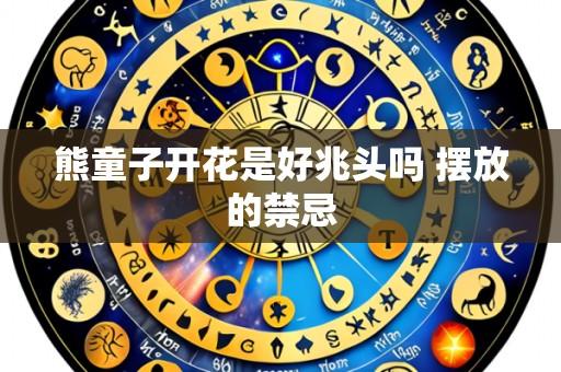 熊童子开花是好兆头吗 摆放的禁忌
