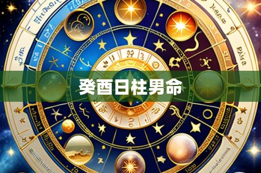 癸酉日柱男命
