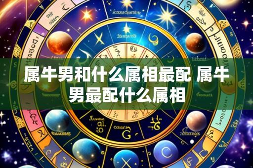 属牛男和什么属相最配 属牛男最配什么属相