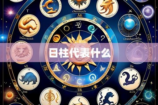 日柱代表什么