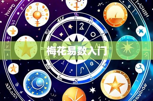 梅花易数入门