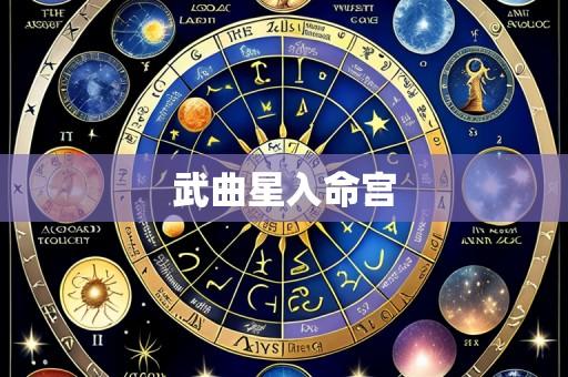 武曲星入命宫