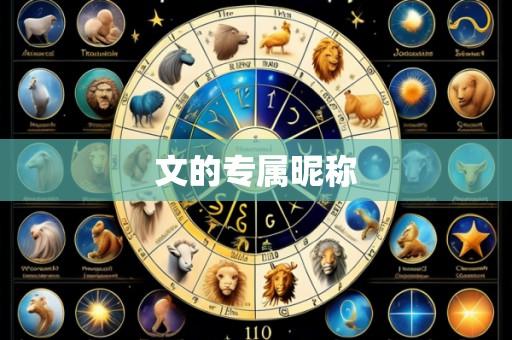文的专属昵称